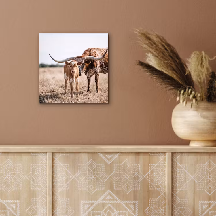 Texas Longhorn - Kalf - Weide - Dieren aluminium wit klein -sfeer4