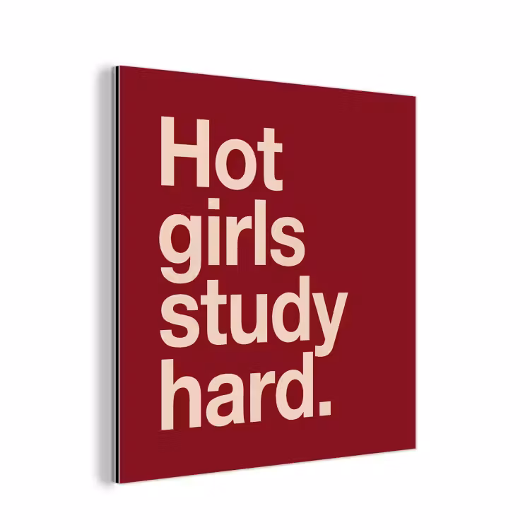 Tekst - Studie - Motivatie - Modern - Rood aluminium wit klein -3d
