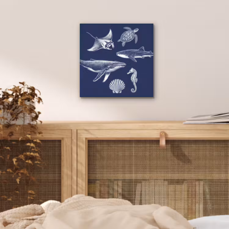Dieren - Zeeleven - Oceaan - Graveren - Blauw aluminium wit klein -sfeer3