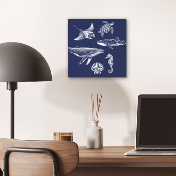 Dieren - Zeeleven - Oceaan - Graveren - Blauw aluminium wit klein -sfeer5