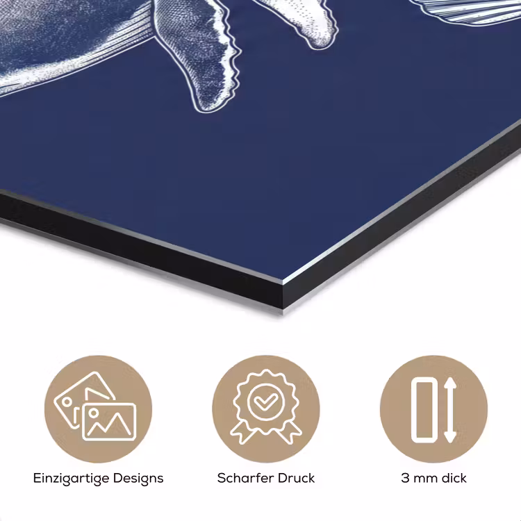 Dieren - Zeeleven - Oceaan - Graveren - Blauw aluminium wit klein -closeup_DE