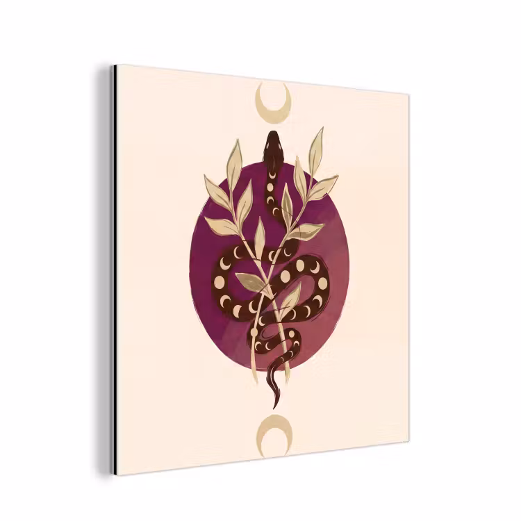Dieren - Slang - Maan - Mystiek - Abstract aluminium wit klein -3d