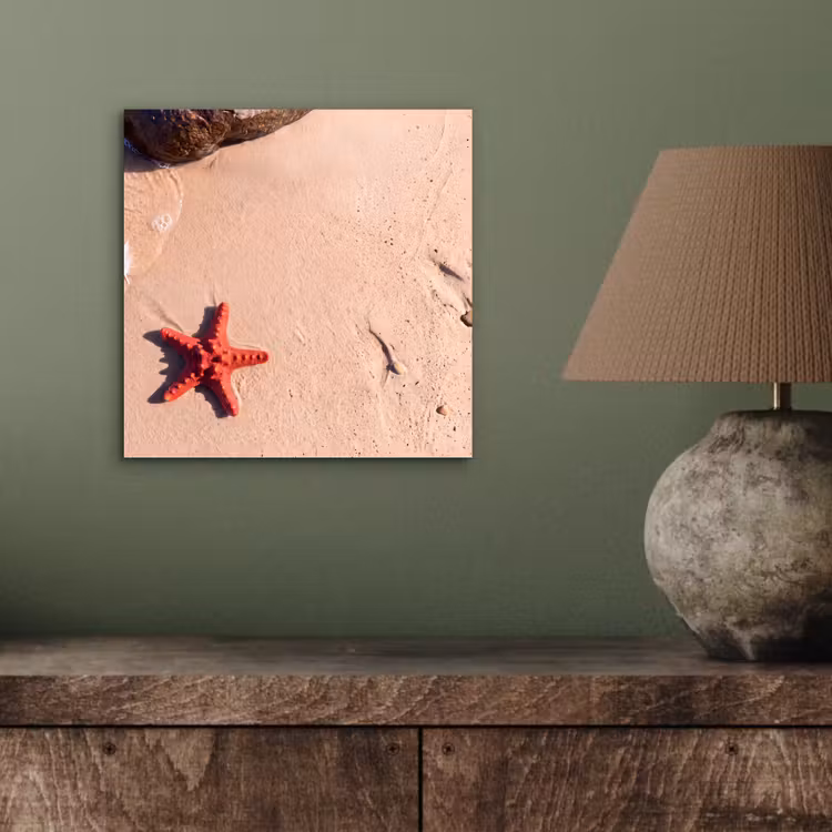 Dieren - Strand - Zee - Natuur - Rood aluminium wit klein -sfeer2
