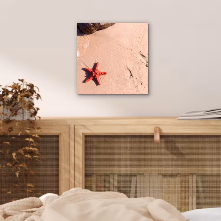Dieren - Strand - Zee - Natuur - Rood aluminium wit klein -sfeer3