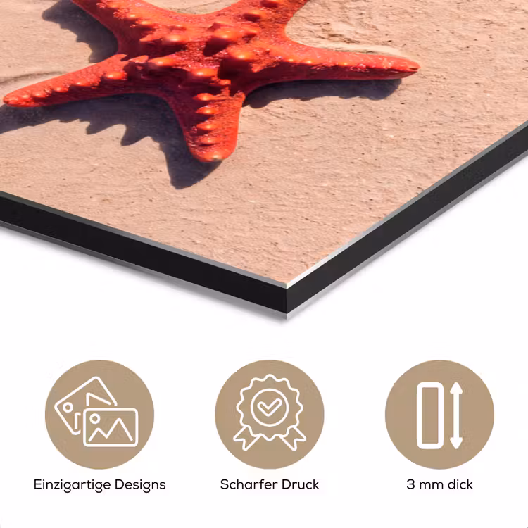 Dieren - Strand - Zee - Natuur - Rood aluminium wit klein -closeup_DE