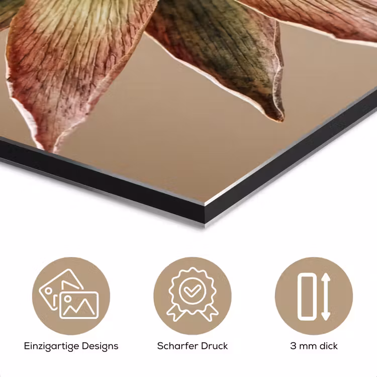 Droogbloem - Protea - Vintage - Beige - Rustiek aluminium wit klein -closeup_DE