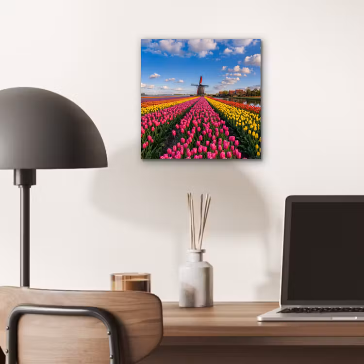 Tulpen - Holland - Molen - Kleurrijk aluminium wit klein -sfeer5