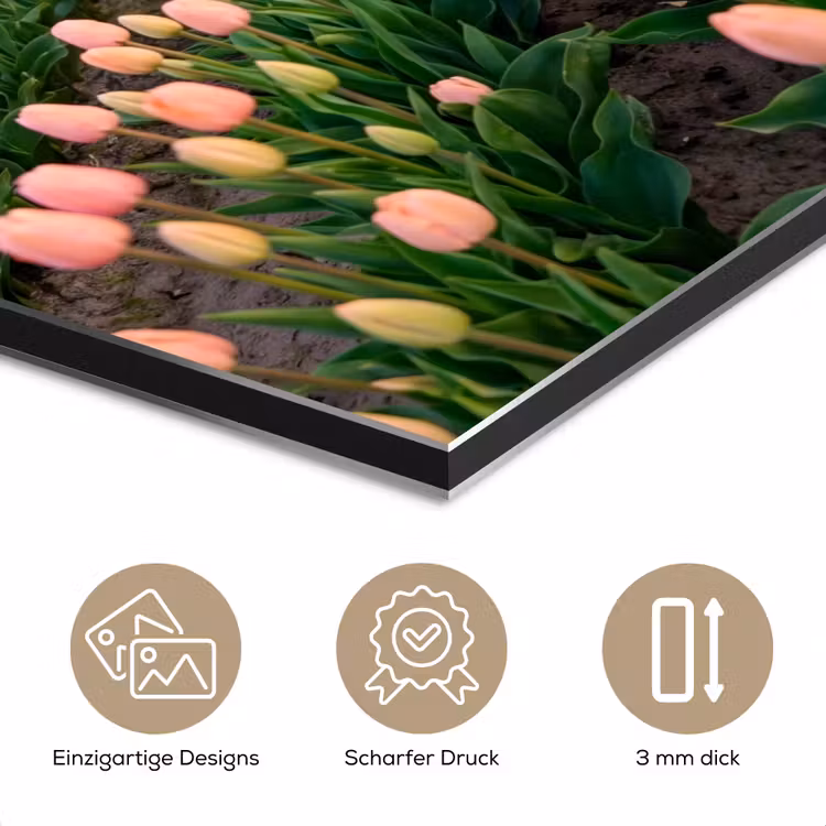 Tulpen - Landschap - Roze aluminium wit klein -closeup_DE