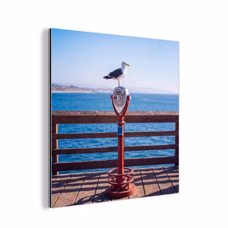 Vogel - Verrekijker - Kust - Zee - Blauw aluminium wit klein -3d