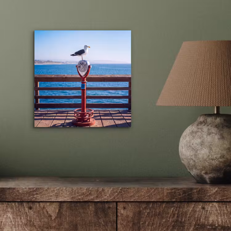 Vogel - Verrekijker - Kust - Zee - Blauw aluminium wit klein -sfeer2