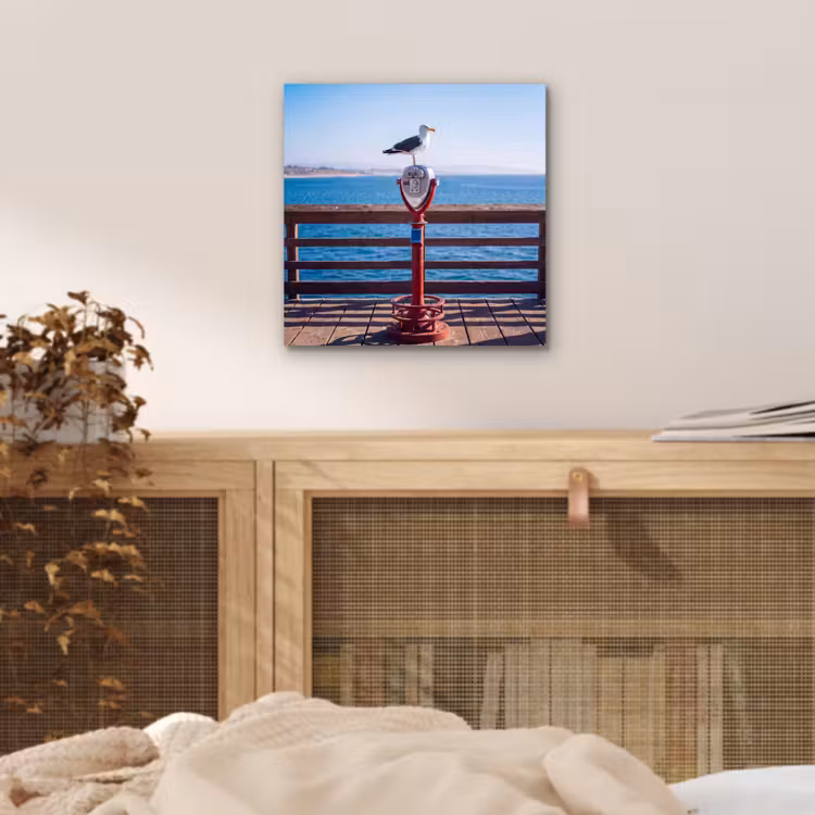 Vogel - Verrekijker - Kust - Zee - Blauw aluminium wit klein -sfeer3