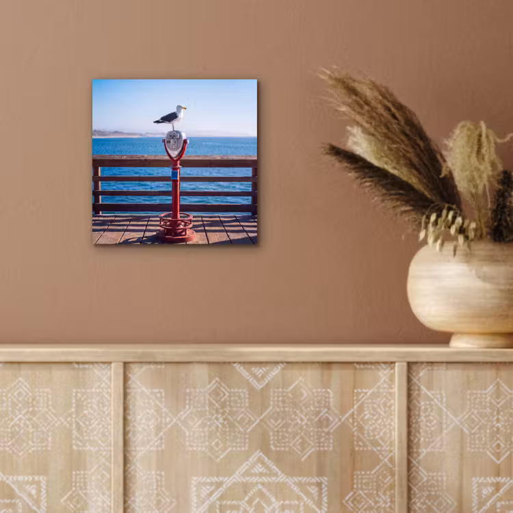 Vogel - Verrekijker - Kust - Zee - Blauw aluminium wit klein -sfeer4