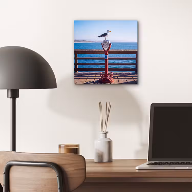 Vogel - Verrekijker - Kust - Zee - Blauw aluminium wit klein -sfeer5