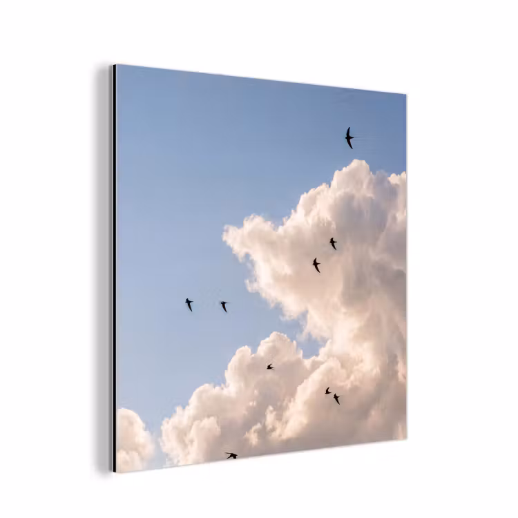 Vogel - Vlucht - Wolken - Natuur - Blauw aluminium wit klein -3d