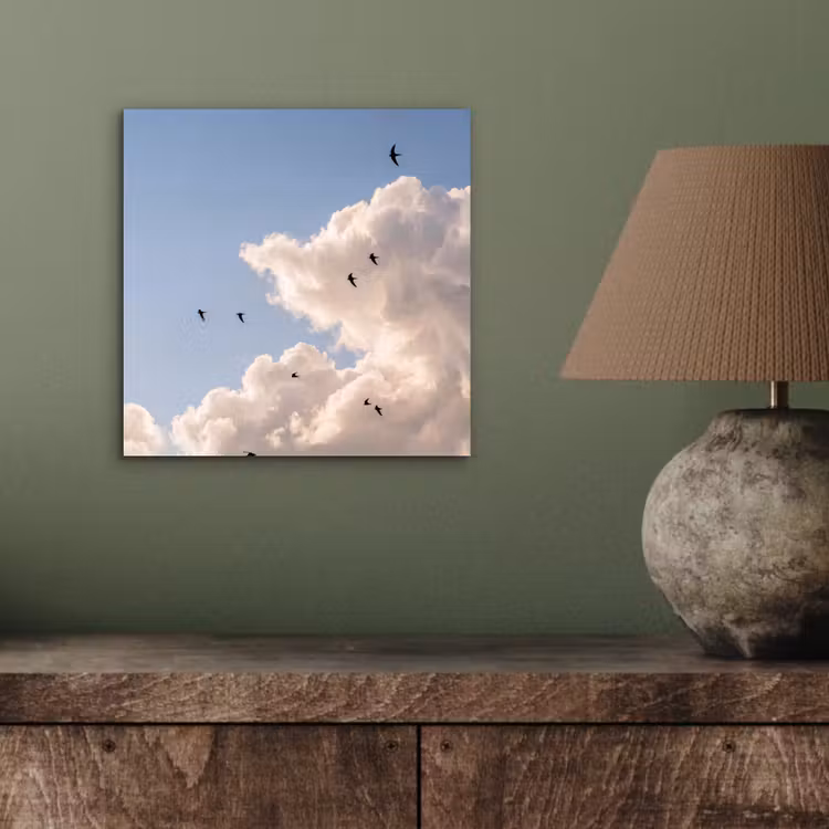 Vogel - Vlucht - Wolken - Natuur - Blauw aluminium wit klein -sfeer2