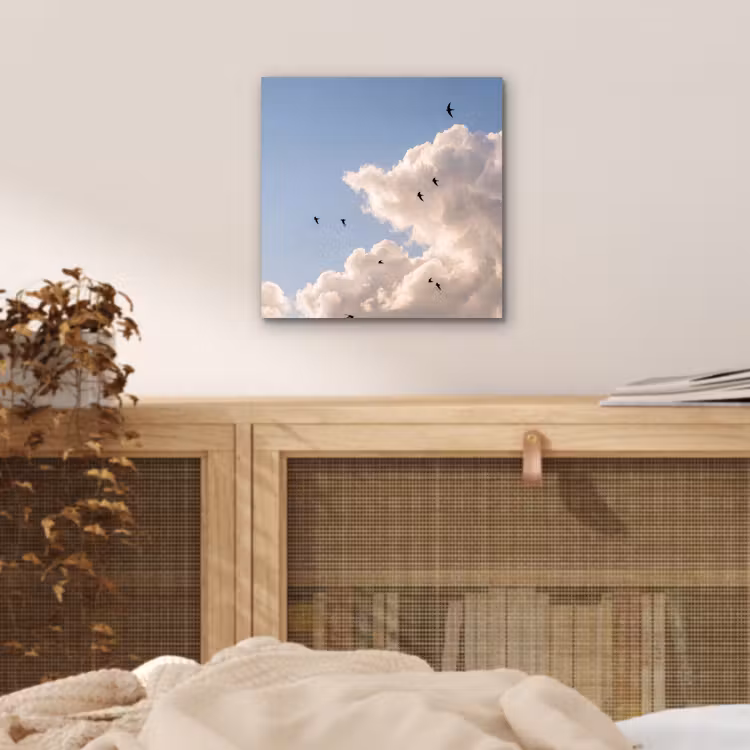 Vogel - Vlucht - Wolken - Natuur - Blauw aluminium wit klein -sfeer3