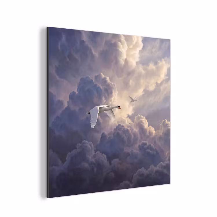 Vogel - Vliegend - Natuur - Wit - Wolken aluminium wit klein -3d