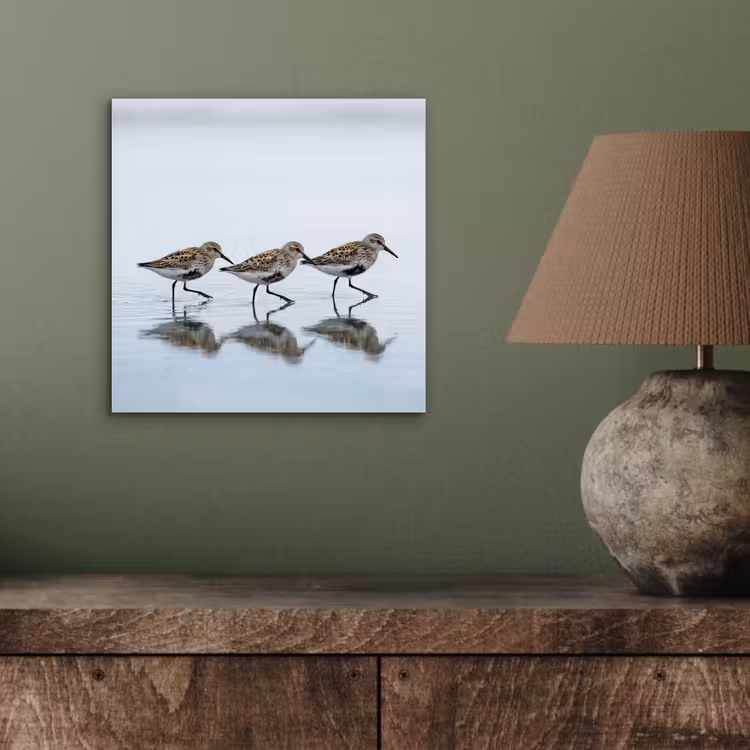 Vogels - Water - Grijs aluminium wit klein -sfeer2