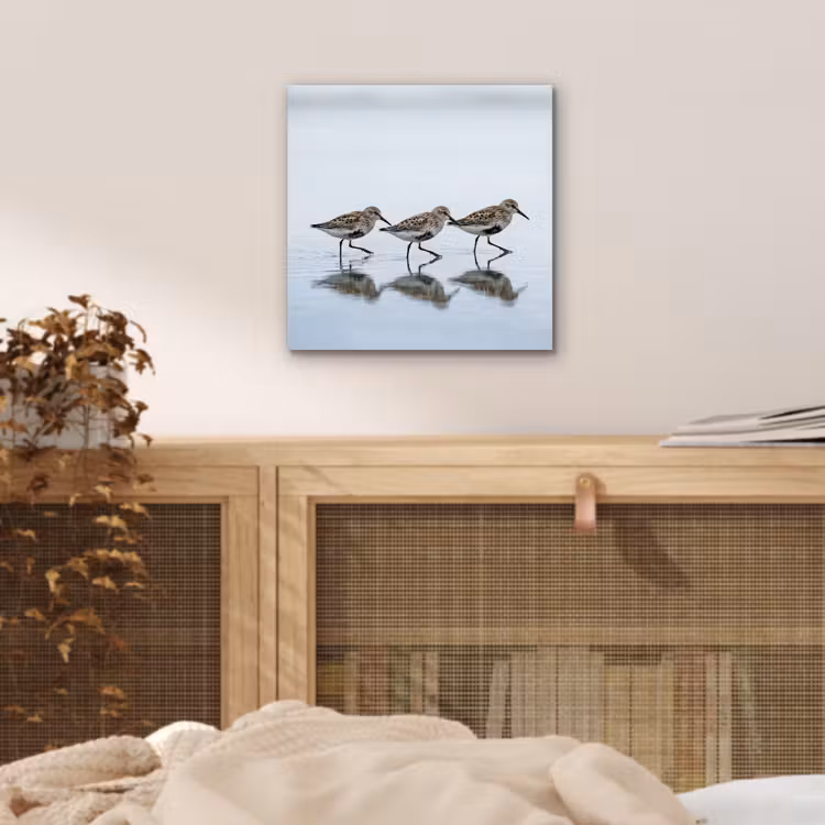 Vogels - Water - Grijs aluminium wit klein -sfeer3