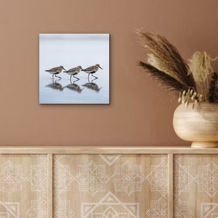 Vogels - Water - Grijs aluminium wit klein -sfeer4