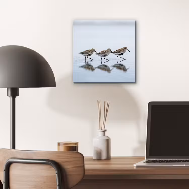 Vogels - Water - Grijs aluminium wit klein -sfeer5