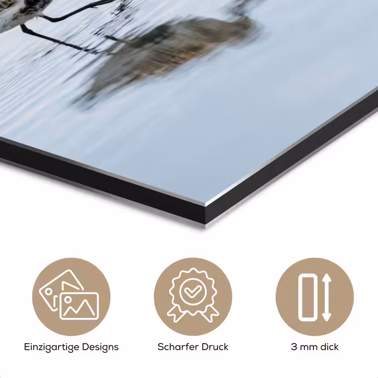 Vogels - Water - Grijs aluminium wit klein -closeup_DE