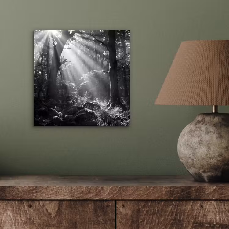 Bos - Lichtstralen - Natuur - Zwart-wit aluminium wit klein -sfeer2