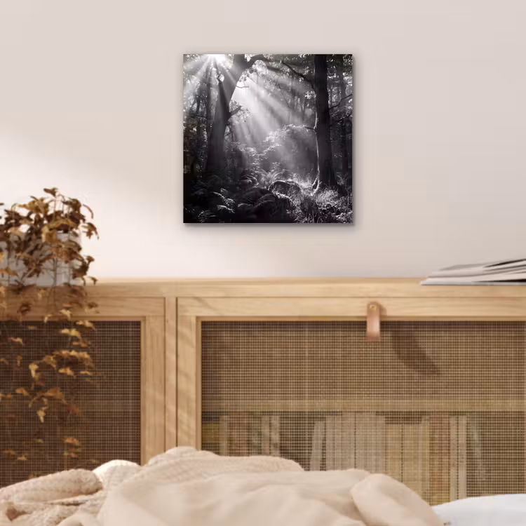 Bos - Lichtstralen - Natuur - Zwart-wit aluminium wit klein -sfeer3