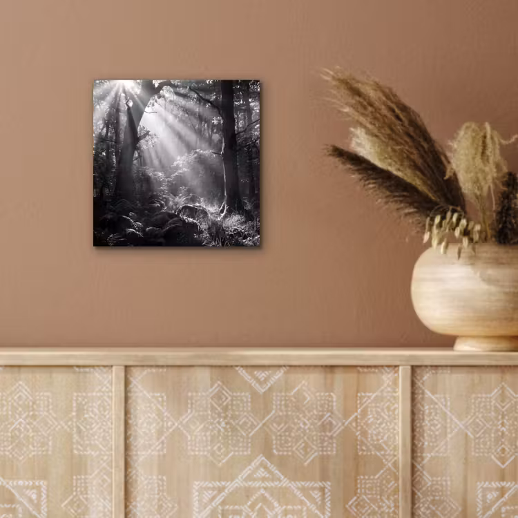 Bos - Lichtstralen - Natuur - Zwart-wit aluminium wit klein -sfeer4