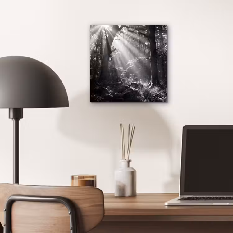 Bos - Lichtstralen - Natuur - Zwart-wit aluminium wit klein -sfeer5