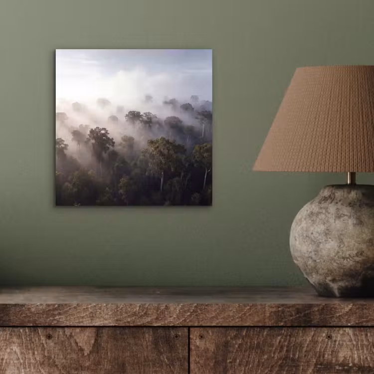 Bos - Mist - Natuur - Groen aluminium wit klein -sfeer2