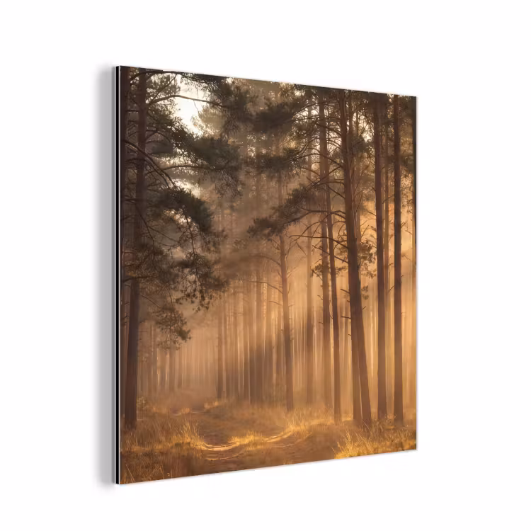 Bos - Mist - Zonlicht aluminium wit klein -3d