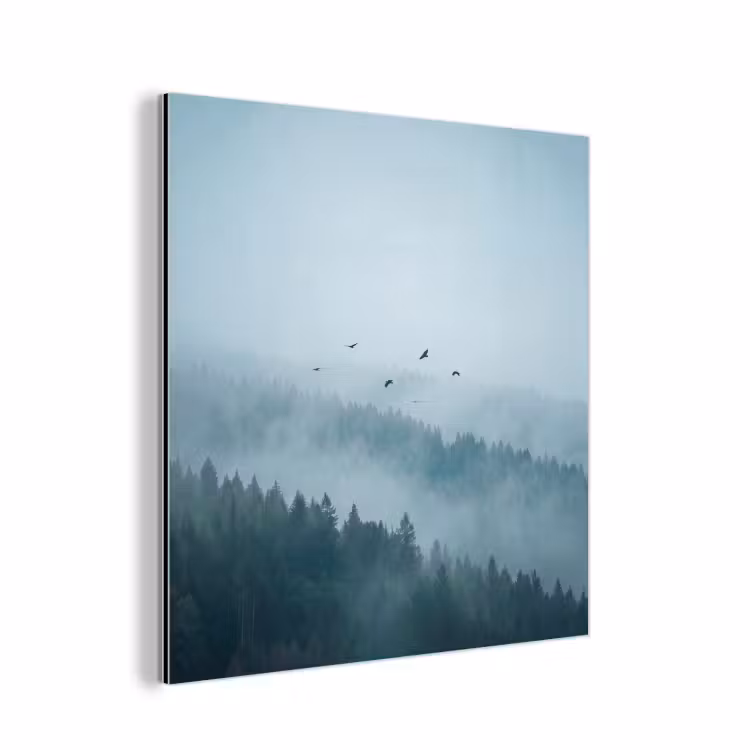 Bos - Mist - Vogels - Natuur - Groen aluminium wit klein -3d