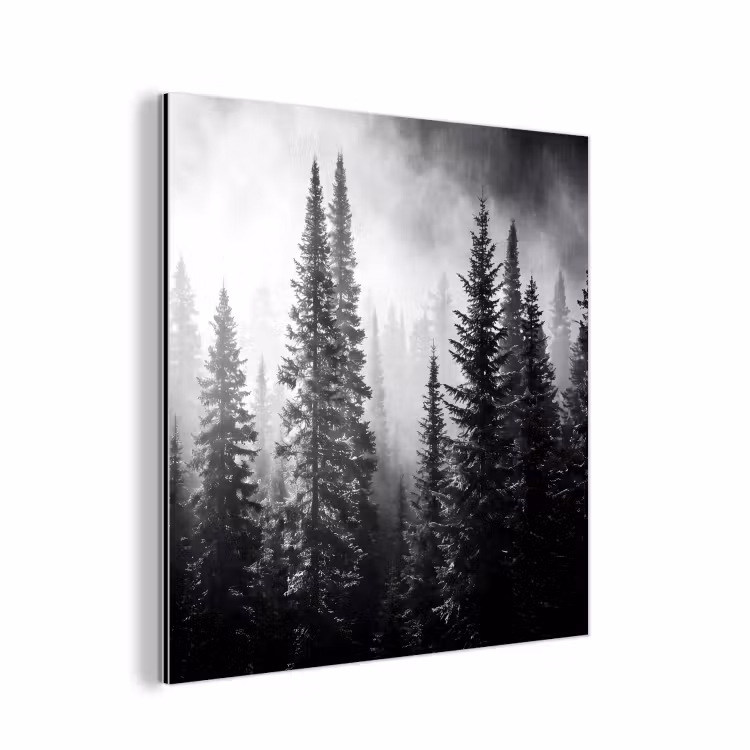 Bos - Mist - Winter - Monochroom - Natuur aluminium wit klein -3d