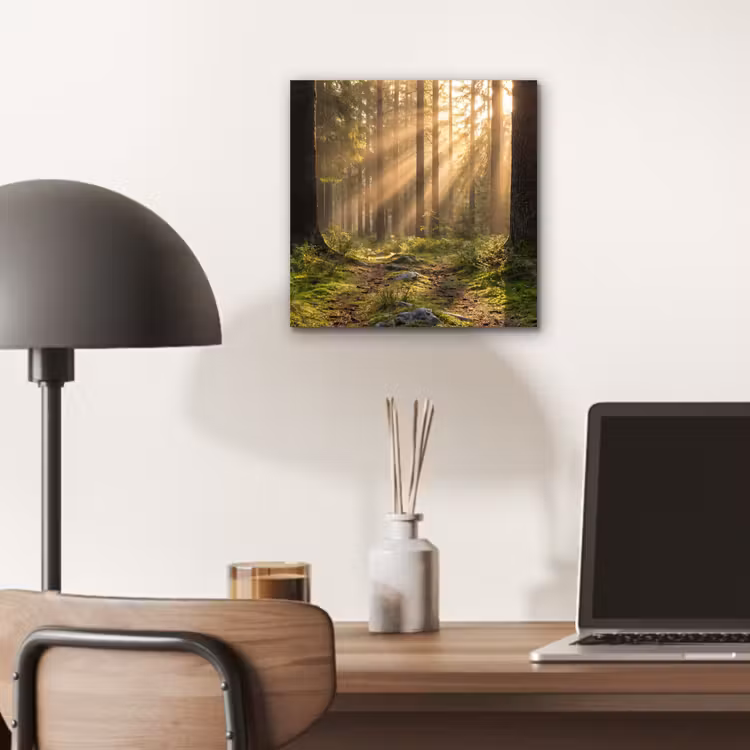 Bos - Zonlicht - Gras aluminium wit klein -sfeer5