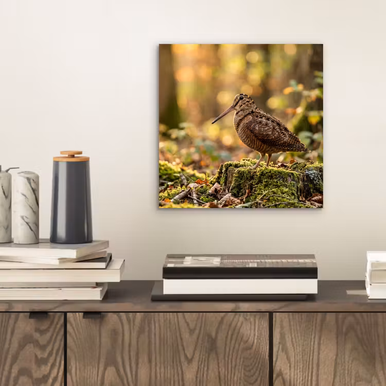 Houtsnip - Bos - Bladeren - Herfst - Gecamoufleerd aluminium wit klein -sfeer1