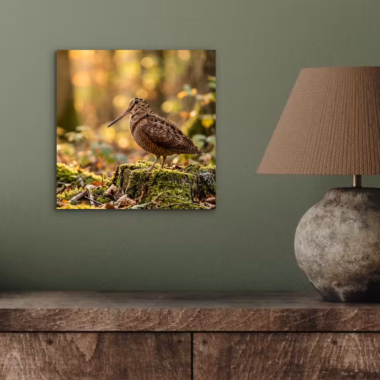 Houtsnip - Bos - Bladeren - Herfst - Gecamoufleerd aluminium wit klein -sfeer2