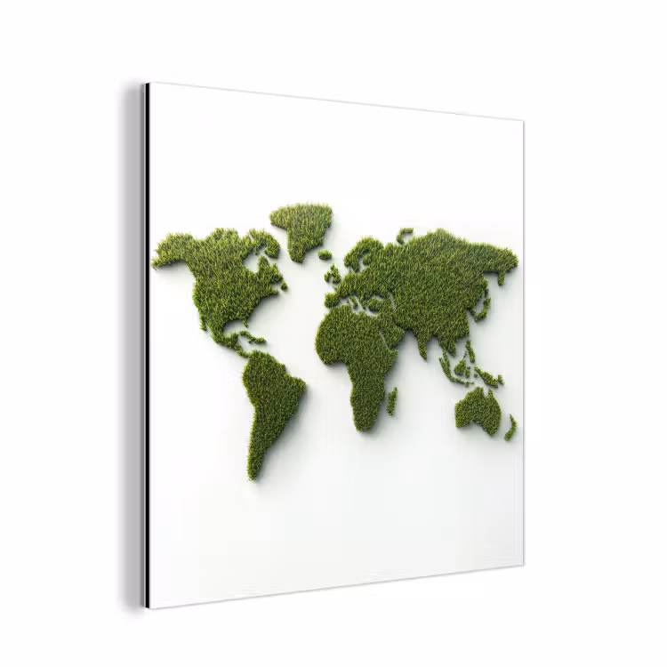 Wereldkaart - Gras textuur aluminium wit klein -3d