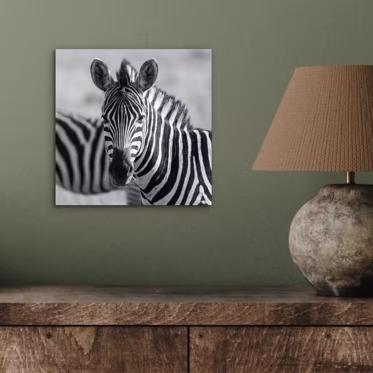 Zebra's - Zwart - Wit aluminium wit klein -sfeer2