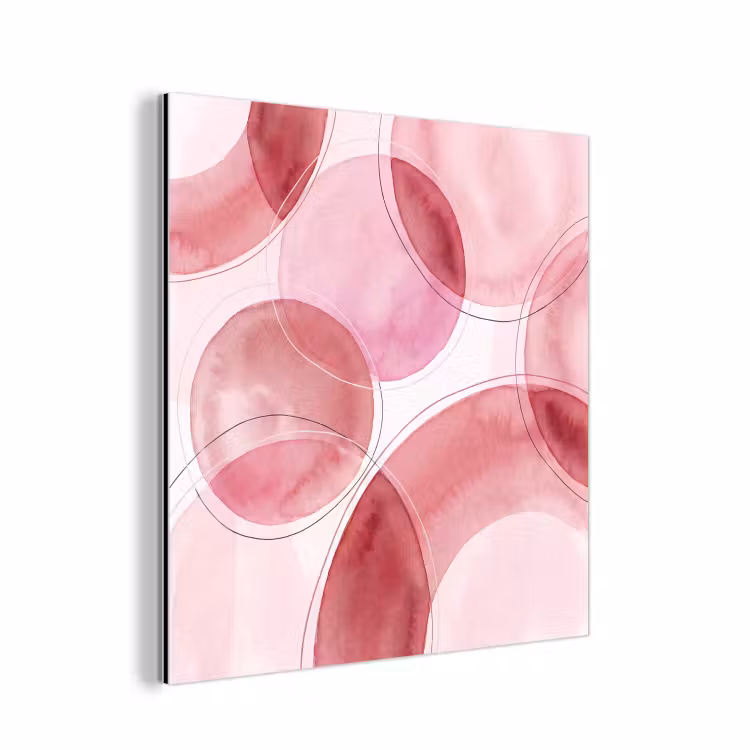 Abstract - Cirkels - Modern - Roze - Kunst aluminium wit klein -3d