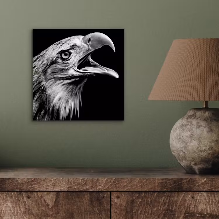 Adelaar - Portret - Roofvogels - Zwart - Wit - Vogel aluminium wit klein -sfeer2