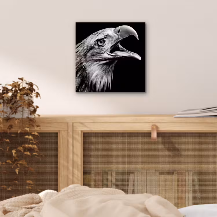 Adelaar - Portret - Roofvogels - Zwart - Wit - Vogel aluminium wit klein -sfeer3