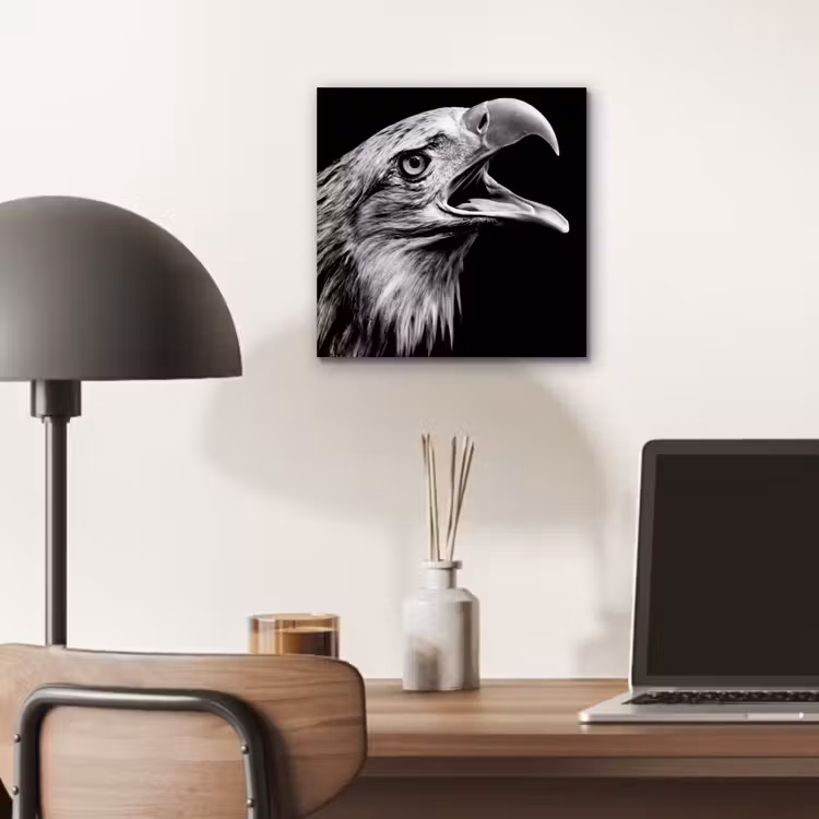 Adelaar - Portret - Roofvogels - Zwart - Wit - Vogel aluminium wit klein -sfeer5
