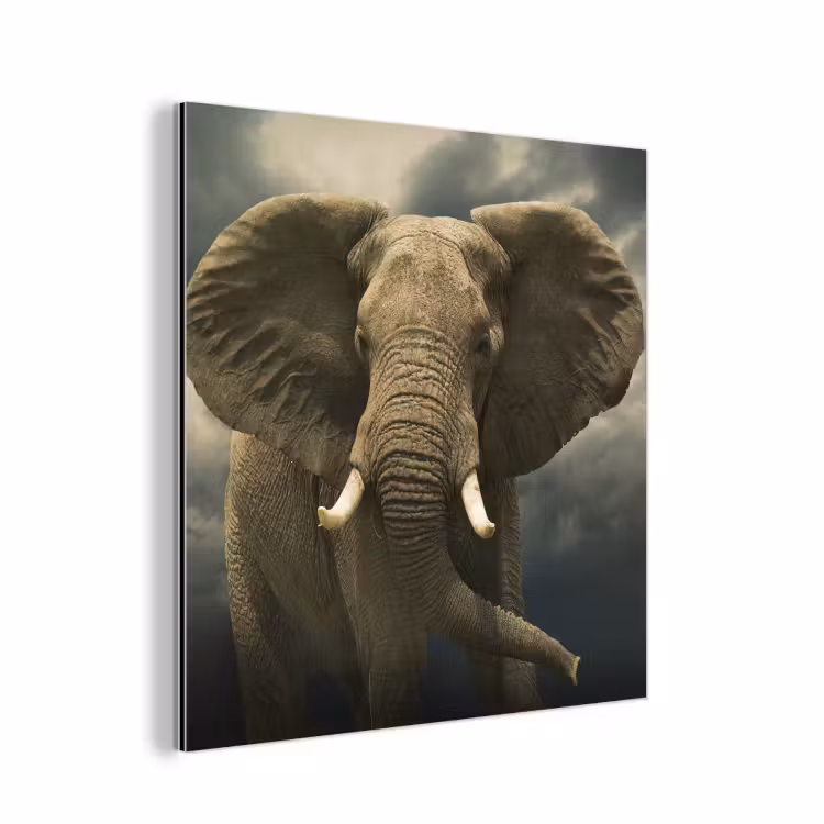 Afrikaanse olifant tegen de donkere wolken aluminium wit klein -3d