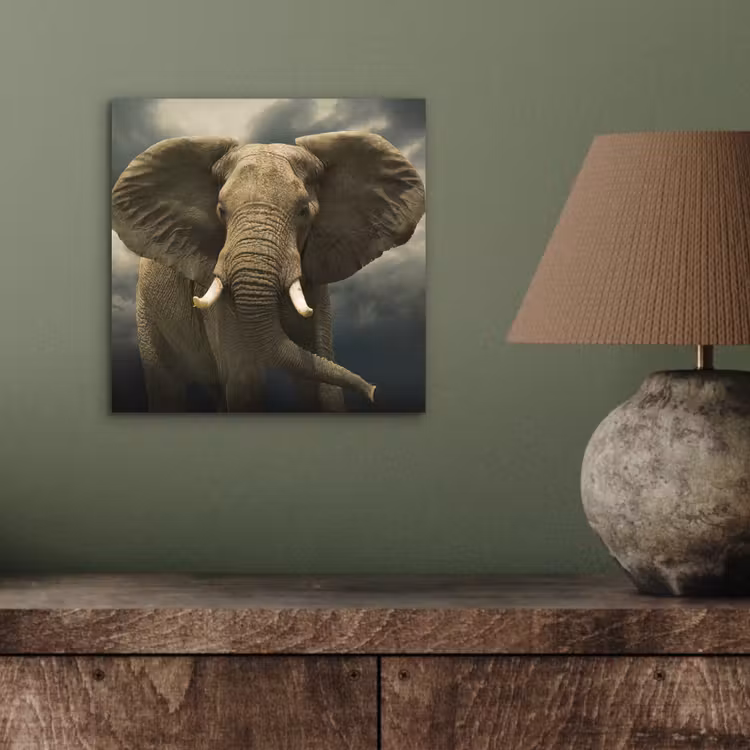 Afrikaanse olifant tegen de donkere wolken aluminium wit klein -sfeer2