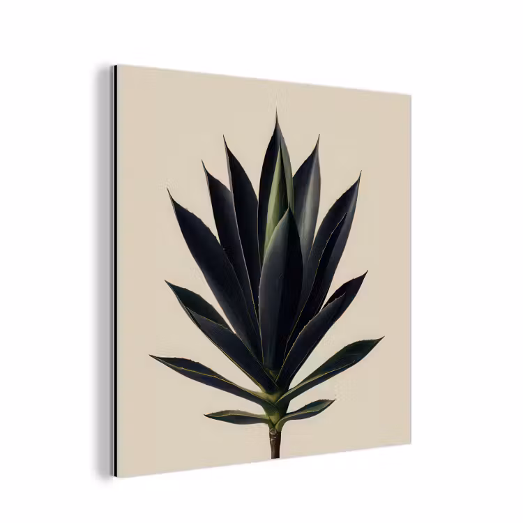 Agaveplant - Symmetrisch - Groen aluminium wit klein -3d