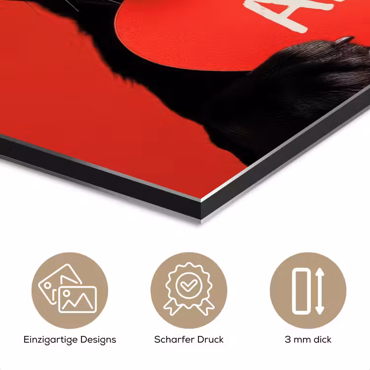 Amor - Hond - Hartje - Rood aluminium wit klein -closeup_DE