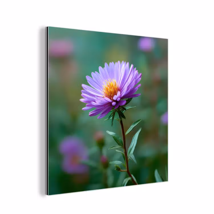 Aster - Paars - Bloem - Blaadjes aluminium wit klein -3d