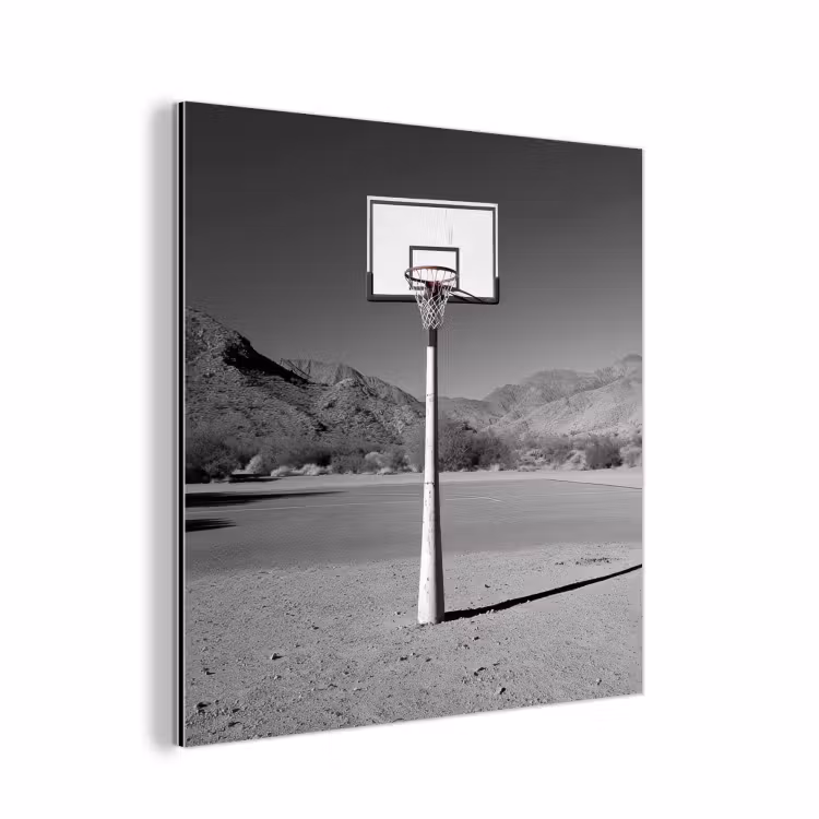 Basketbalpaal - Landschap - Zand - Wit aluminium wit klein -3d