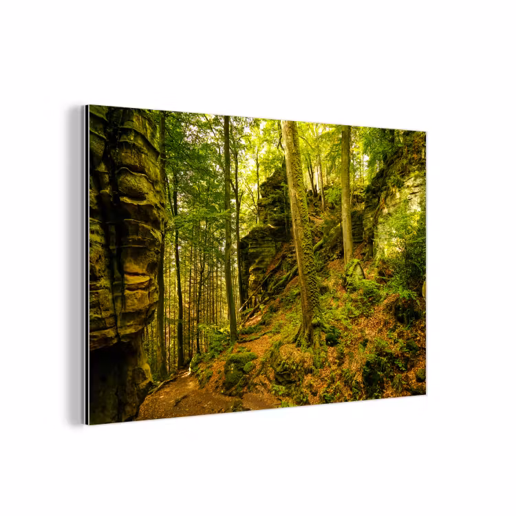 Bomen - Steen - Bos - Natuur - Planten aluminium wit klein -3d